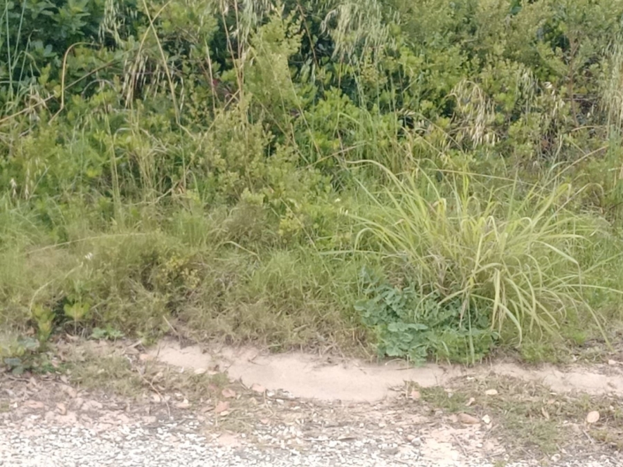 Commercial Property for Sale in Paradise Beach Eastern Cape